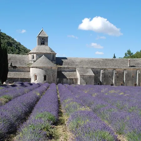 Les Oliviers Villa Le Pontet (Vaucluse)